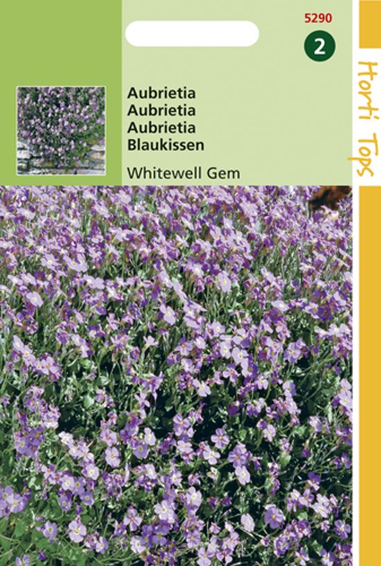 Aubretia Whitewell Gem (Aubrieta hybrida) 400 seeds HT